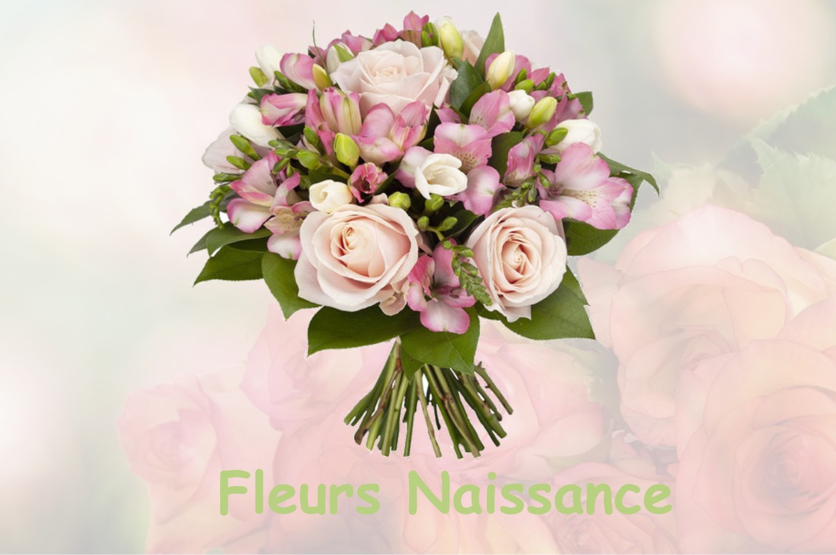 fleurs naissance JOSSE