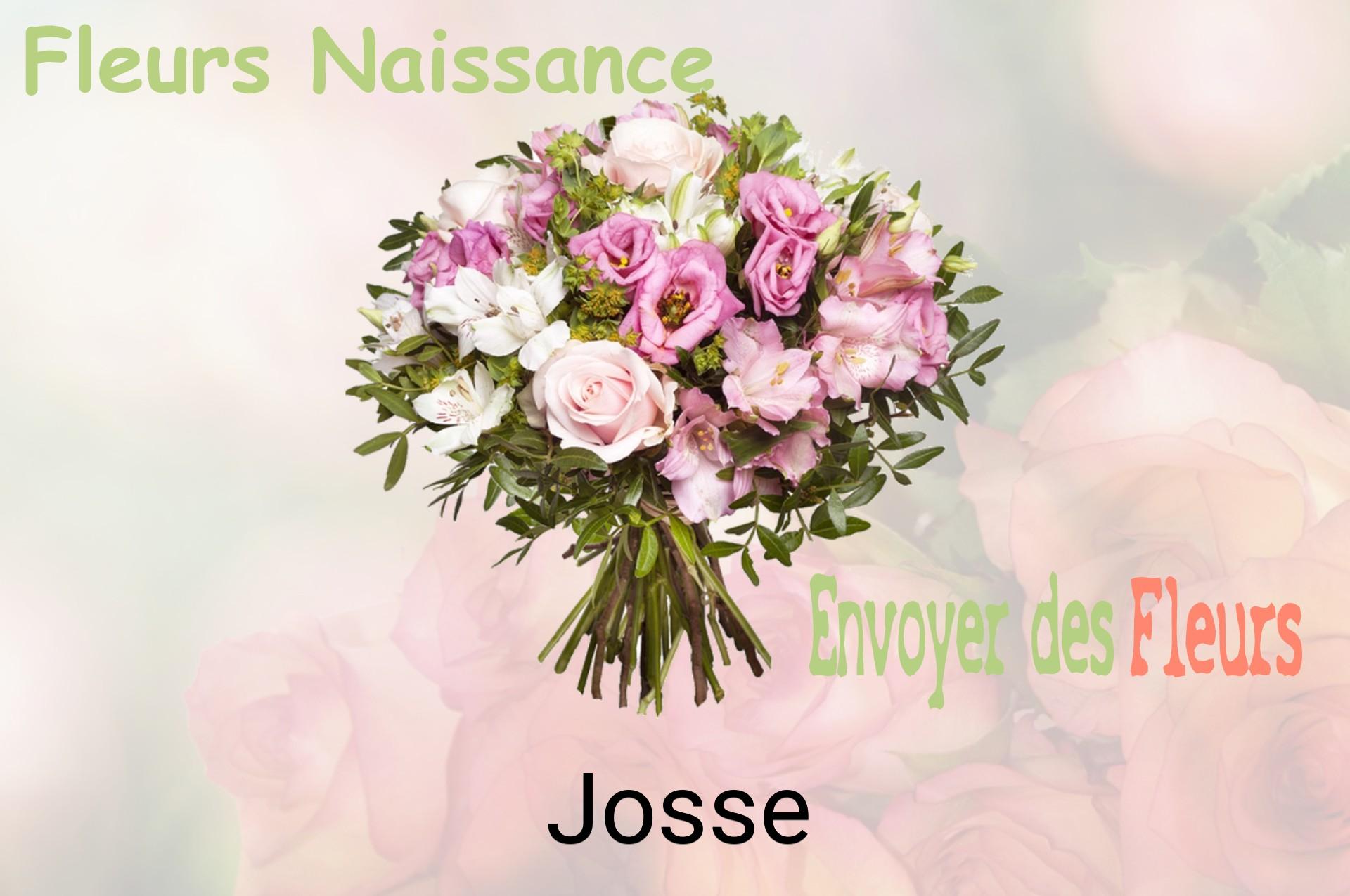 Bouquet de fleurs de naissance livré à Josse