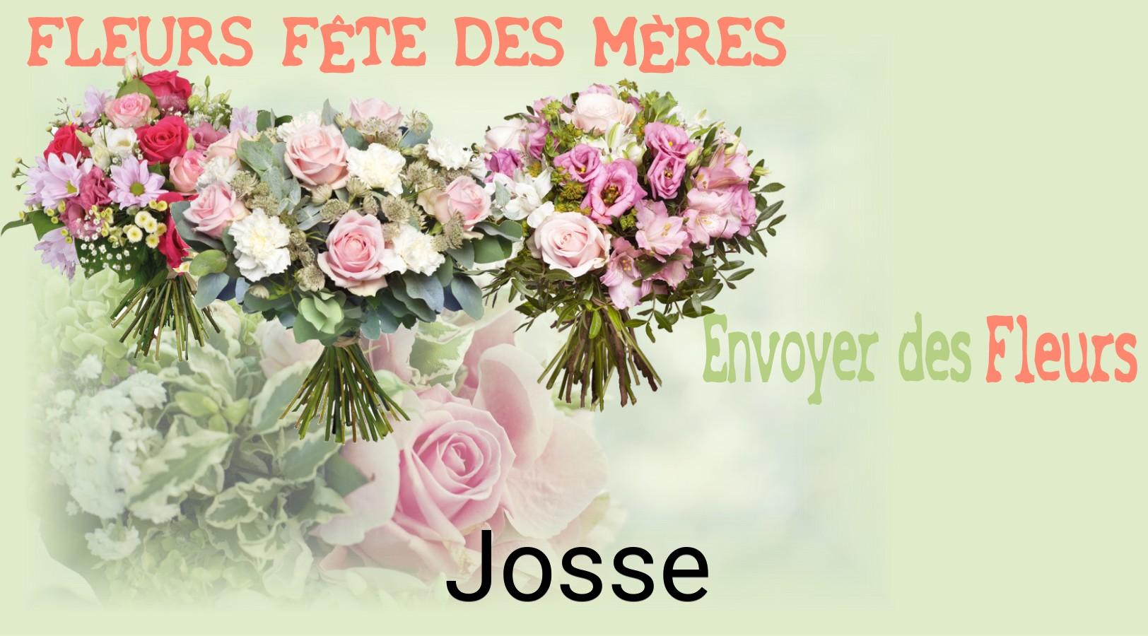 Bouquet de Fête des Mères livré à Josse