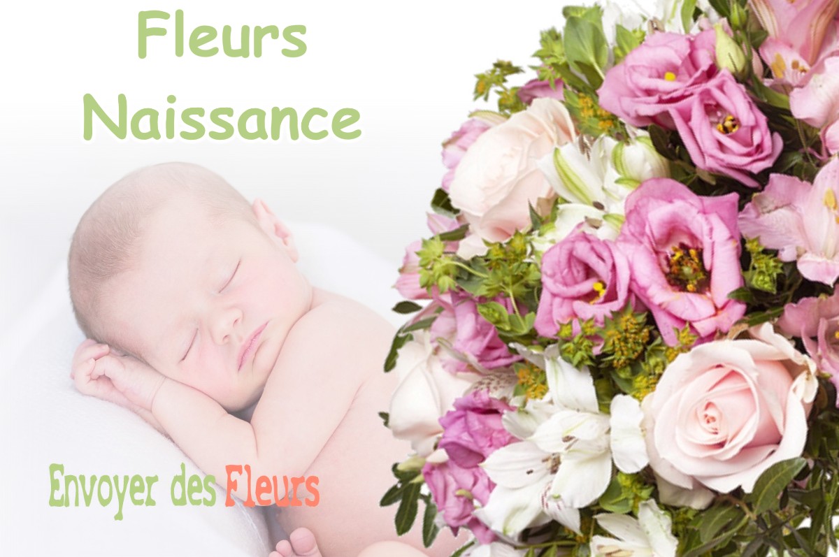 lIVRAISON FLEURS NAISSANCE à JOSSE